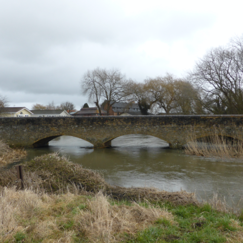 The Mill Stream