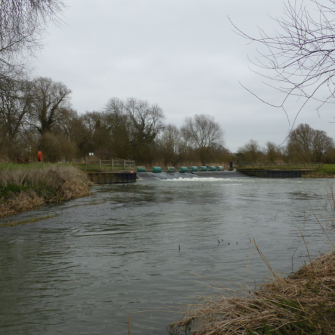 Black Overfalls Weir Pool